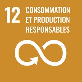 12 : Consommation et production responsables